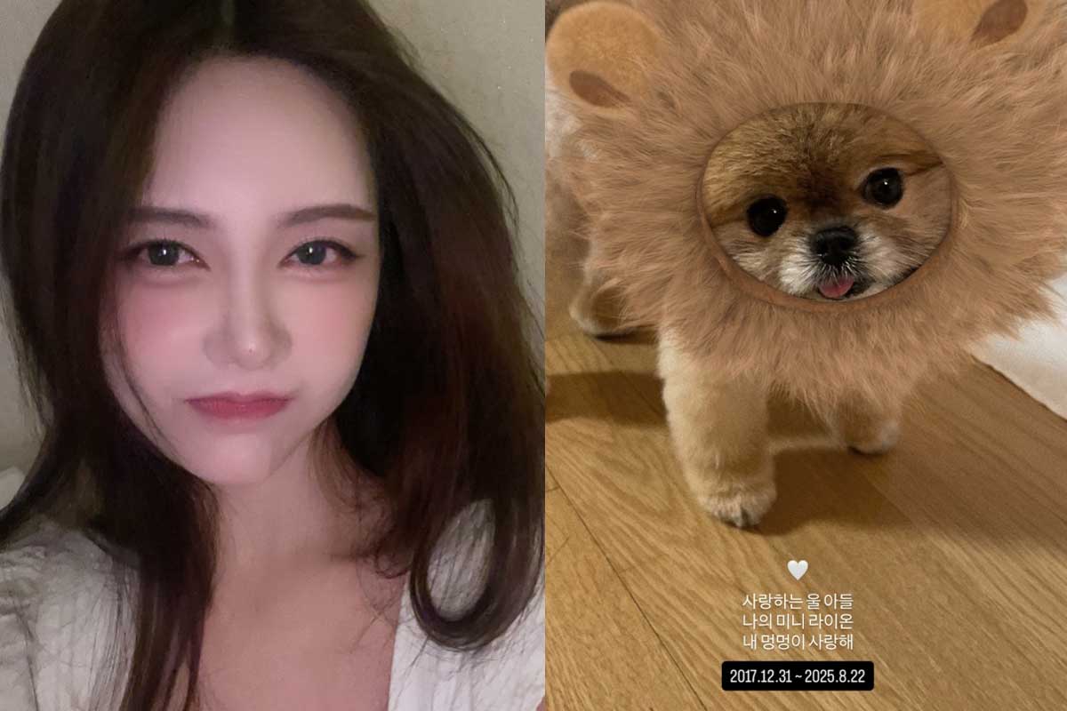 출처 : 큐리 SNS
