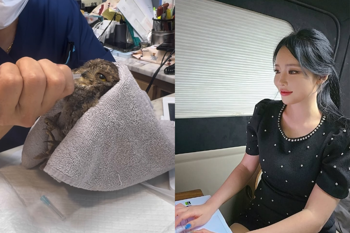 출처: 홍진영 SNS