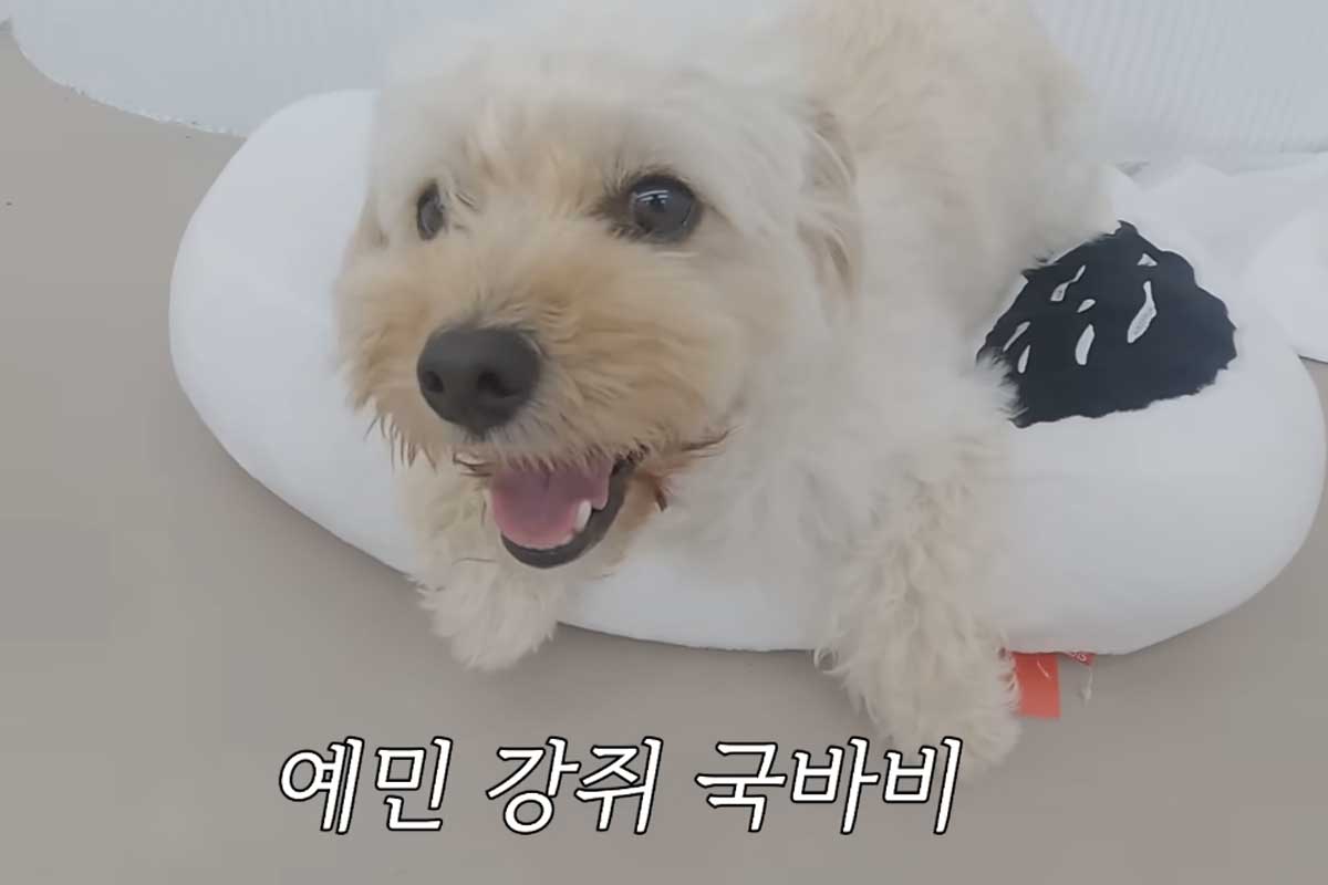 출처 : 유튜브 채널 ‘이국주’