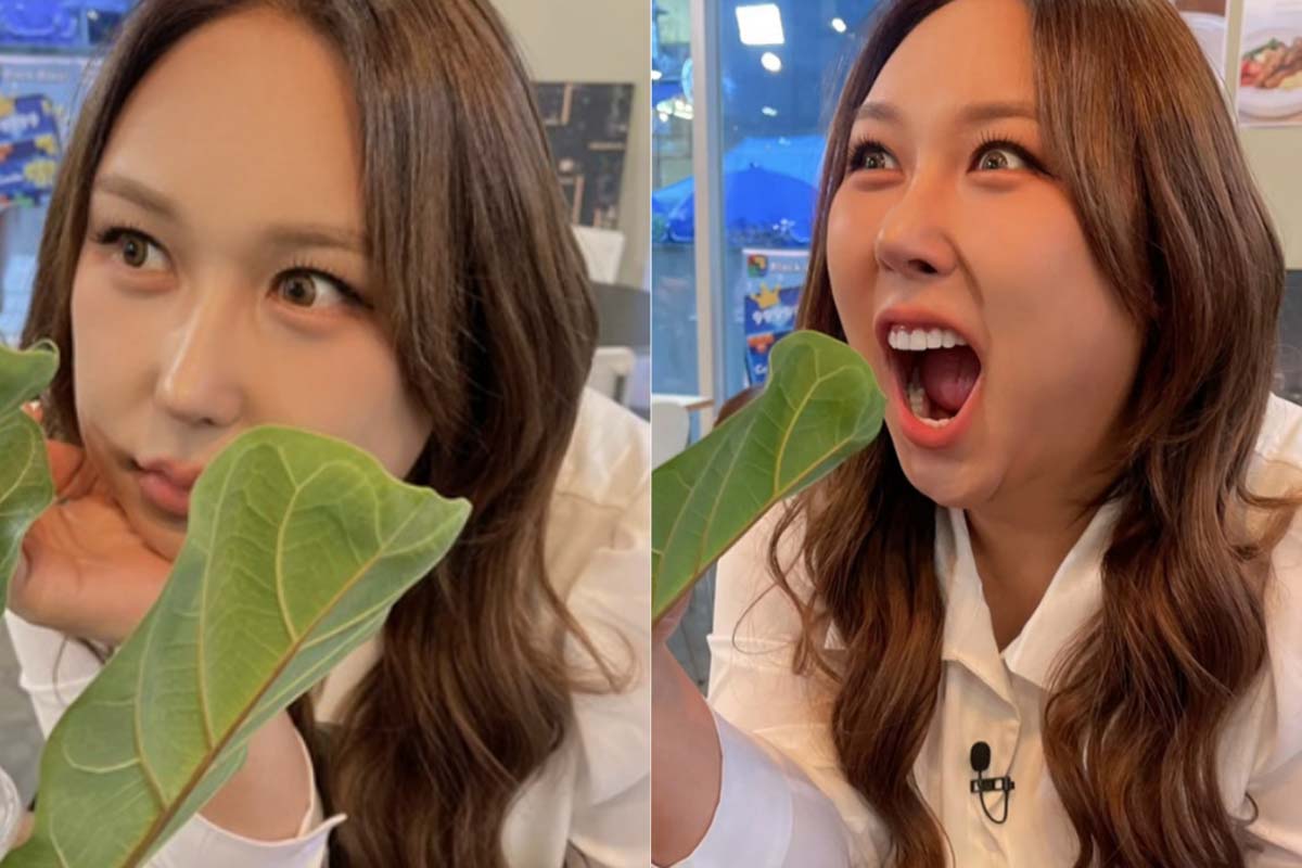 출처: 풍자 SNS