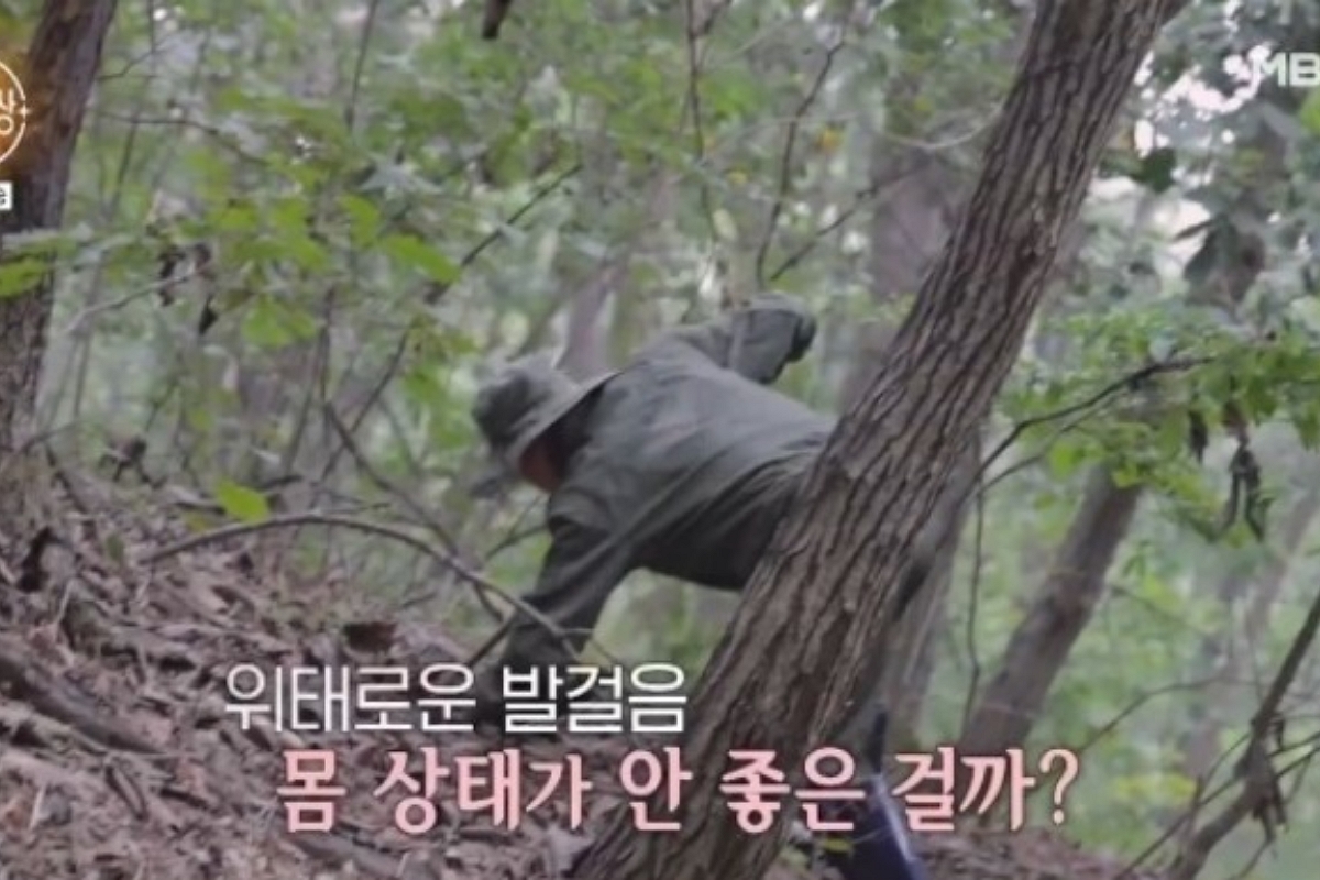 출처: MBN '특종세상'