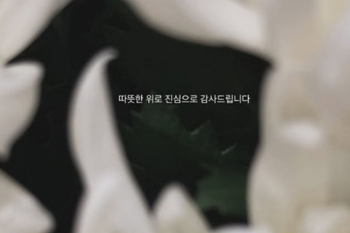 출처: 안다빈 SNS
