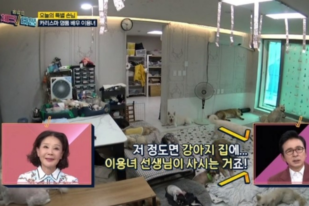 출처: MBN '한번 더 체크타임'